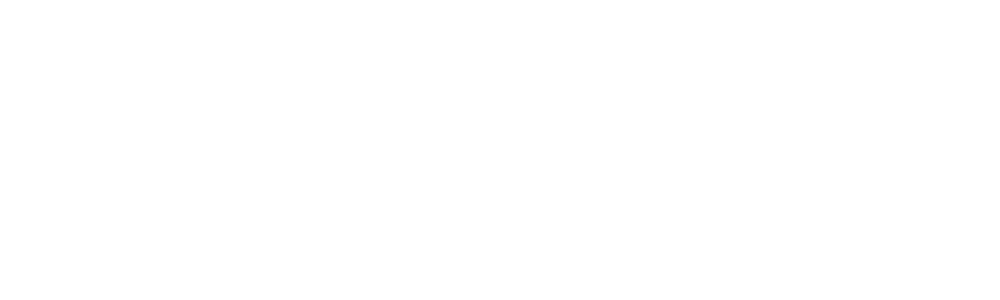 Excellence Auto Glass